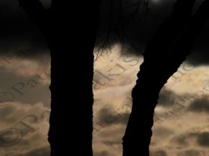 22 ΠΟΥΛΙΑ ΣΥΝΕΦΙΑΣΜΕΝΟΣ ΟΥΡΑΝΟΣ SKIPTON ΗΝΩΜΕΝΟ ΒΑΣΙΛΕΙΟ 15-12-2017