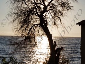 26 ΔΕΝΤΡΟ ΚΑΜΠΑΝΑΡΙΟ ΔΥΣΗ ΗΛΙΟΥ ΛΙΜΕΝΙ ΜΑΝΗ ΛΑΚΩΝΙΑ 30-06-2018