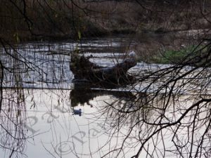 27 ΑΝΤΑΝΑΚΛΑΣΕΙΣ RIVER AIRE LEEDS ΗΝΩΜΕΝΟ ΒΑΣΙΛΕΙΟ 16-12-2017