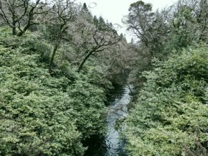27 RIVER BLACKWATER RING OF KERRY KERRY ΙΡΛΑΝΔΙΑ 20-12-2018
