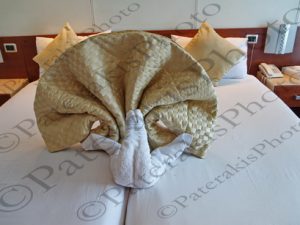 28 ΠΑΓΩΝΙ ΕΛΕΦΑΝΤΑΣ ΚΟΡΚΟΔΕΙΛΟΣ ΔΙΑΚΟΣΜΗΣΗ ΚΑΜΠΙΝΑΣ ΚΡΟΥΑΖΙΕΡΟΠΛΟΙΟΥ ESNA ΑΙΓΥΠΤΟΣ 14-04-2018