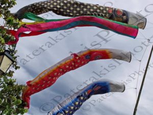 29 ΔΙΑΚΟΣΜΗΤΙΚΗ ΑΝΕΜΟΔΟΥΡΑ HOI AN VIETNAM 15-08-2018