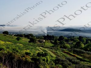 31 ΑΙΘΑΛΟΜΙΧΛΗ ΑΦΙΔΝΕΣ 28-04-2017