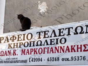 34 ΠΑΛΑΙΑ ΠΟΛΗ ΧΑΝΙΑ 29-04-2017