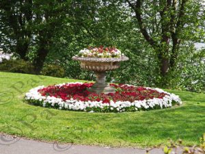 45 ΤΟΥΛΙΠΕΣ SCARBOROUCH ΗΝΩΜΕΝΟ ΒΑΣΙΛΕΙΟ 30-04-2017