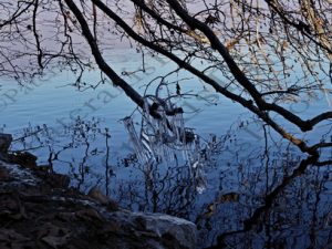 54 ΚΡΥΣΤΑΛΛΟΙ ΛΙΜΝΗ ΚΑΣΤΟΡΙΑ 28-12-2018