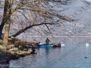 56 ΨΑΡΑΣ ΒΑΡΚΑ ΨΑΡΕΜΑ ΛΙΜΝΗ ΚΑΣΤΟΡΙΑ 28_30-12-2018