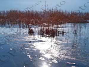 61 ΚΑΛΑΜΙΕΣ ΑΓ.ΑΧΙΛΕΙΟΣ ΛΙΜΝΗ ΠΡΕΣΠΕΣ ΦΛΩΡΙΝΑ 28-12-2018