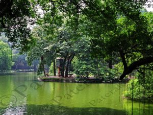 65 ΒΟΤΑΝΙΚΟΣ ΚΗΠΟΣ CONG VIEN BACH THAU HANOI VIETNAM 19-08-2018