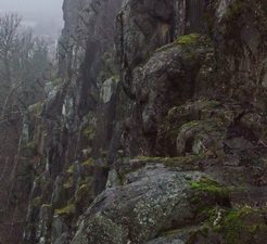 67 ΔΕΝΤΡΟ ΒΡΑΧΟΙ STIRLING ΗΝΩΜΕΝΟ ΒΑΣΙΛΕΙΟ 22-12-2017