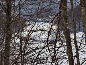 70 ΧΙΟΝΟΔΡΟΜΙΚΟ ΚΕΝΤΡΟ ΒΙΓΛΑ ΦΛΩΡΙΝΑ 29-12-2018