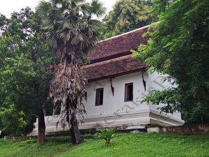 82 ΝΑΟΣ WAT PA HUAK LUANG PRABANG LAOS 21-08-2018