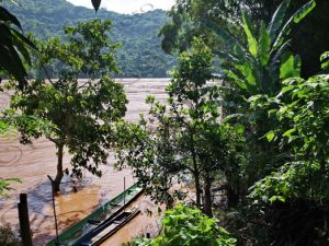 94 ΠΑΙΔΙΑ ΑΡΓΑΛΙΟΣ ΓΑΤΑ ΠΟΤΟ LAO LAO BAN ΧANG ΗΑΙ MEKONK LUANG PRABANG LAOS 21-08-2018