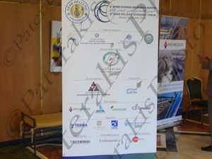 01 ΑΡΑΒΟΕΛΛΗΝΙΚΟ ΟΙΚΟΝΟΜΙΚΟ FORUM DIVANI APOLLON 04-06-2015