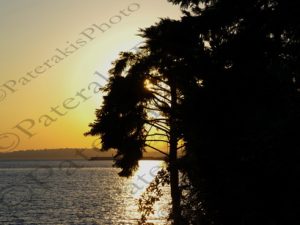 01 BLE ΑΛΙΜΟΣ 01-07-2015