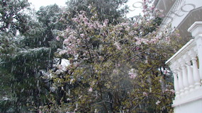 01 ΙΠΠΟΚΡΑΤΕΙΟΣ ΠΟΛΙΤΕΙΑ ΧΙΟΝΙΣΜΕΝΗ 10-04-2015