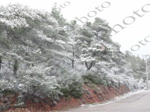 05 ΙΠΠΟΚΡΑΤΕΙΟΣ ΠΟΛΙΤΕΙΑ ΧΙΟΝΙΑ 18-01-2016