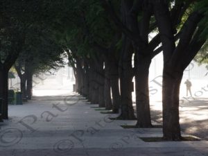 04 ΖΑΠΠΕΙΟ ΠΡΟΕΔΡΙΚΟ 20-11-2015