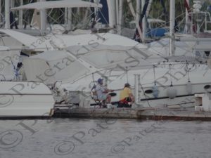 07 ΠΑΝΣΕΛΗΝΟΣ ΜΑΡΙΝΑ ΑΛΙΜΟΥ ΦΡΕΑΤΤΥΔΑ 29-08-2015