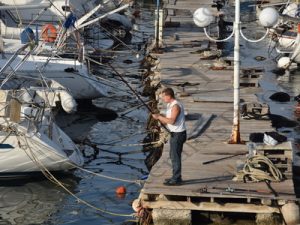 08 ΨΑΡΕΜΑ ΦΛΟΙΣΒΟΣ 21-05-2015