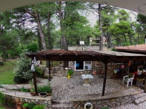 09 ΙΠΠΟΚΡΑΤΕΙΟΣ ΠΟΛΙΤΕΙΑ 26-09-2015