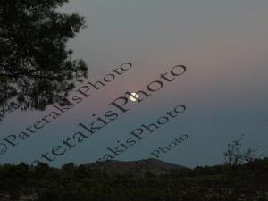 09 ΠΑΝΣΕΛΗΝΟΣ ΛΙΜΝΗ ΜΑΡΑΘΩΝΟΣ 13-11-2016