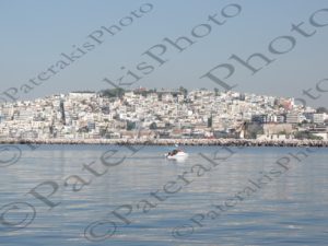 09 ΠΛΟΙΑ ΙΣΤΙΟΦΟΡΑ ΠΕΙΡΑΙΑΣ ΑΙΓΙΝΑ ΑΓΚΙΣΤΡΙ 24-06-2015