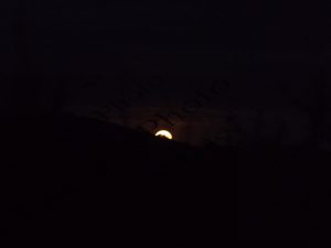 10 ΠΑΝΣΕΛΗΝΟΣ ΜΑΡΑΘΩΝΑΣ 14-11-2016