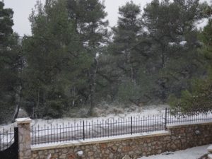 12 ΧΙΟΝΙΣΜΕΝΗ ΙΠΠΟΚΡΑΤΕΙΟΣ ΠΟΛΙΤΕΙΑ 31-12-2015