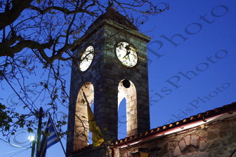 13 ΣΥΚΙΑ ΦΩΚΙΔΑΣ 10-12-2016