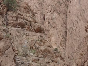 16 ΦΑΡΑΓΓΙ ΚΟΙΛΑΔΑ TODRA ΜΑΡΟΚΟ 16-08-2016