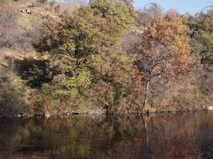 18 ΑΓΚΙΣΤΡΟ ΣΕΡΡΩΝ 19-11-2016