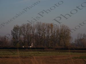 20 ΠΕΛΑΡΓΟΙ ΔΕΝΔΡΑ ΒΑΡΚΕΣ ΨΑΡΕΜΑ ΛΙΜΝΗ ΚΕΡΚΙΝΗ 19-11-2016