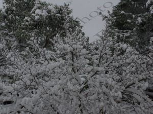 28 ΧΙΟΝΙΣΜΕΝΗ ΙΠΠΟΚΡΑΤΕΙΟΣ ΠΟΛΙΤΕΙΑ 29-12-2016