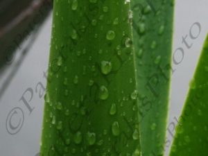 30 ΣΤΑΓΟΝΕΣ ΝΕΡΟΥ 25-11-2016