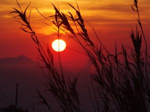 31 ΗΛΙΟΒΑΣΙΛΕΜΑ ΟΙΑ ΦΗΡΑ ΣΑΝΤΟΡΙΝΗ 23_24-05-2016