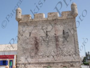 31 ΛΙΜΑΝΙ ΨΑΡΟΚΑΙΚΑ ΒΑΡΚΕΣ ΓΛΑΡΟΙ ESAOUIRA ΜΑΡΟΚΟ 19-08-2016