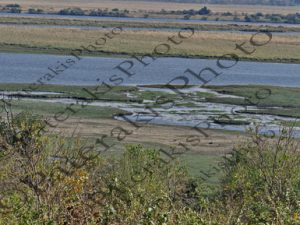 0101 ΕΘΝΙΚΟ ΠΑΡΚΟ CHOBE ΠΟΤΑΜΙ ZAMBEZI ΜΠΟΤΣΟΥΑΝΑ 01-08-2026