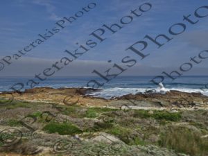 0305 ΑΚΡΩΤΗΡΙ ΚΑΛΗΣ ΕΛΠΙΔΟΣ CAPE GOOD HOPE CAPE TOWN Ν ΑΦΡΙΚΗ 03-08-2026