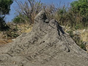 0104 TERMITE MOUND ΦΩΛΙΑ ΤΕΡΜΙΤΕΣ ΕΘΝΙΚΟ ΠΑΡΚΟ CHOBE ΠΟΤΑΜΙ ZAMBEZI ΜΠΟΤΣΟΥΑΝΑ 01-08-2026