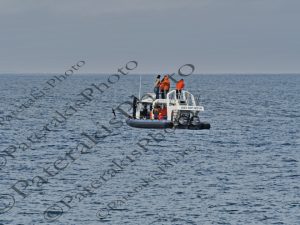 0407 ΠΑΡΑΤΗΡΗΣΗ ΦΑΛΑΙΝΑΣ ΜΕ ΣΚΑΦΟΣ HERMANUS CAPE WHALE ROUTE Ν ΑΦΡΙΚΗ 04-08-2026