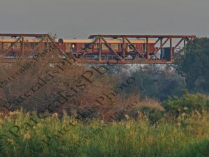 0702 KRUGER SHALATI THE TRAIN ON THE BRIDGE ΓΕΦΥΡΑ SELATI ΠΟΤΟΜΟΣ SABIE RIVER KRUGER NATIONAL PARK Ν ΑΦΡΙΚΗ 07-08-2026