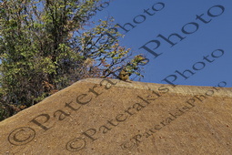 14 PAPIO ΜΠΑΜΠΟΥΙΝΟΣ VICTORIA FALLS ΖΙΜΠΑΜΠΟΥΕ 31-07-2026