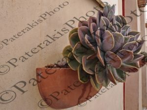 2918 ΚΑΚΤΟΣ ΧΩΡΑ ΚΥΘΗΡΑ 29-08-2026