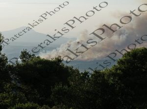 0903 ΦΩΤΙΑ ΑΣΠΡΟΧΩΡΙ ΩΡΩΠΟΣ 09-07-2025
