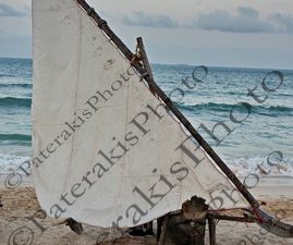 1104 ΒΑΡΚΑ ΨΑΡΙ ΚΑΘΗΜΕΡΙΝΗ ΖΩΗ COCO BEACH DAR ES SALAAM ΤΑΝΖΑΝΙΑ 11-07-2025