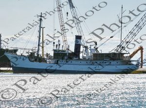1503 ΘΑΛΗΣ Ο ΜΙΛΗΣΙΟΣ ΚΑΛΩΔΙΑΚΟ ΠΛΟΙΟ ΓΕΡΑΝΟΣ ΛΙΜΑΝΙ ΕΛΕΥΣΙΝΑΣ 15-09-2024