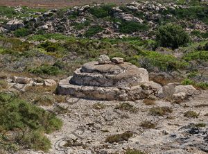 2401 ΣΤΕΡΝΑ ΣΚΑΡΙΑΝΑ ΑΝΤΙΚΥΘΗΡΑ 24-08-2025