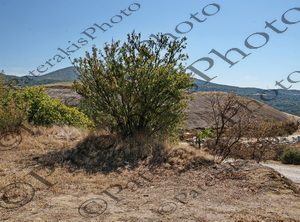 2805 ΤΥΜΒΟΣ ΛΟΦΟΣ ΚΑΣΤΑ ΑΜΦΙΠΟΛΗ  28-09-2024