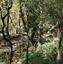 2806 ΚΑΤΑΡΡΑΚΤΗΣ ΠΟΤΑΜΟΣ ΑΓΓΙΤΗΣ ΔΡΑΜΑ 28-09-2024